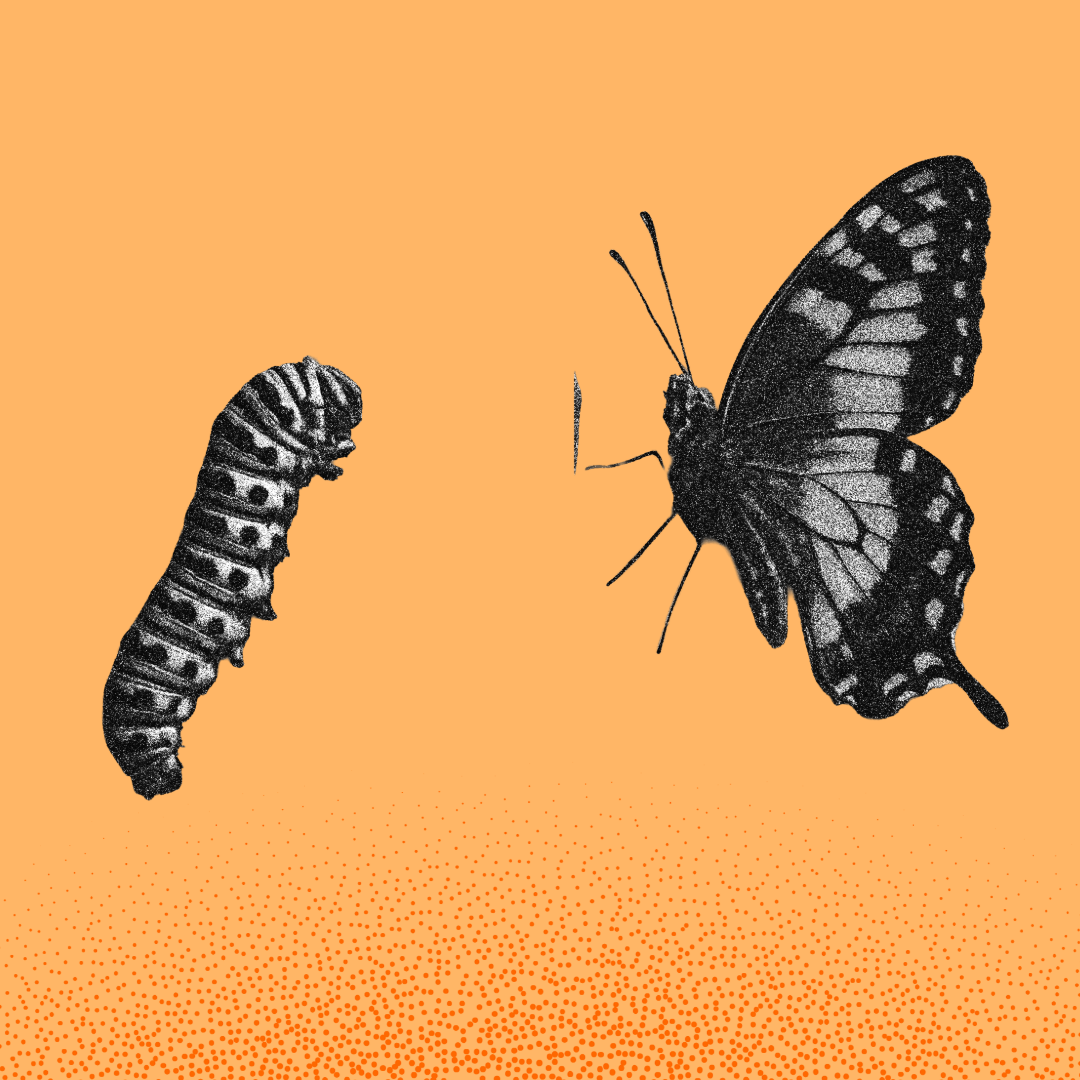 CH stipple illustration 10